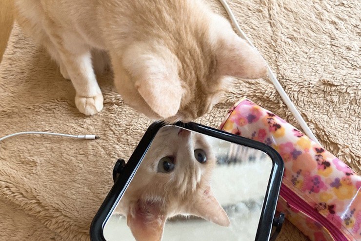 今日の身だしなみは大丈夫? オリジナルミラー★